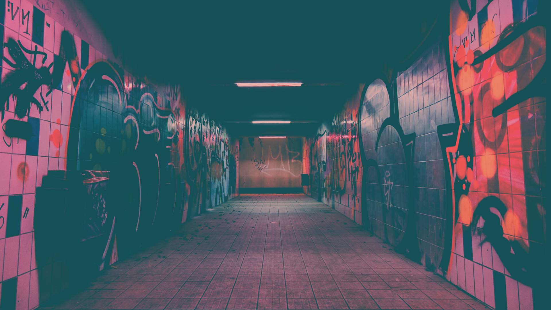 digimake_digiTools_CMS_Header